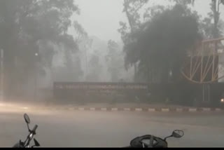 thunderstorms-and-heavy-rain-in-belgaum-coconut-tree-fire-by-thunder