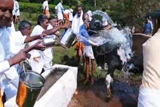 படுகர் இன மக்களின் பாரம்பரிய பண்டிகை  படுகர்களின் பாரம்பரிய பண்டிகை  உப்புஹட்டுவ பண்டிகை  படுகர்  Baduga  Baduga Traditional Festival  Traditional festival of the Baduga people  Uppattuva Festival