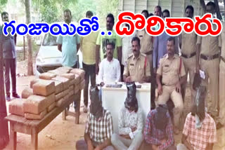 104 kg of cannabis seized .. Four arrested in suryapet