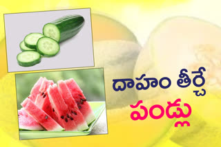 fruits which helps to cure dehydration in summer