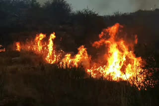 fire accident on yeddula konda