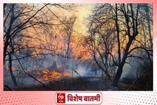 satara fire forest