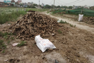 Wood sticks from cow dung on holika dahan in delhi