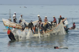 Sri Lanka Navy arrests 54 Indian fishermen, seize 5 trawlers