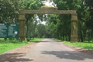 Achanakmar Tiger Reserve will remain closed in Holi