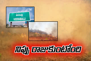 fire accident in sheshachalam forest in kadapa, chithore districts