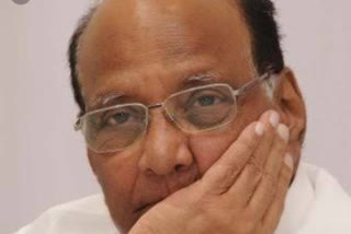 ncp chief Sharad Pawar