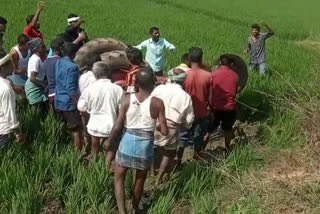 tractor rescued