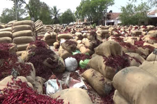 Byadagi Chilli Market