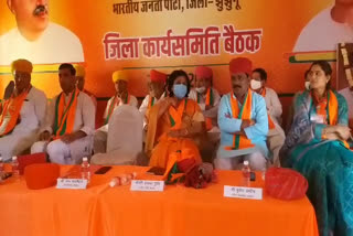 Jhunjhunu Latest News,  Jhunjhunu BJP Working Committee Meeting,  Jhunjhunu BJP Alka Gurjar