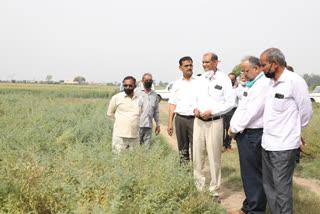 Hisar Agricultural University News