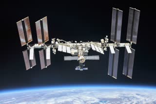 new bacterial strains on ISS, plants in space