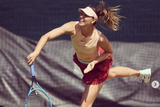 Tennis star sharapova