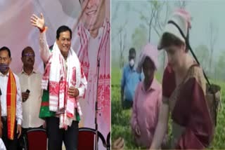 assam assembly elections parties go all out to woo tea garden workers