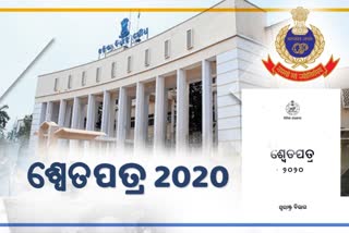 2020 ଶ୍ବେତପତ୍ର; କୋଭିଡ ବେଳେ ପୋଲିସ ଭୂମିକାକୁ ପ୍ରଶଂସା