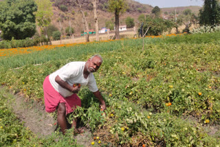 Farmer