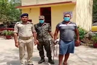 most-wanted-criminal-pramod-ojha-arrested-in-bokaro