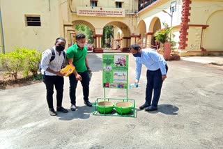 youths provide food for animals in Hubballi