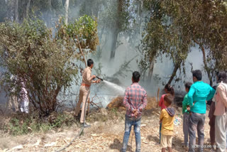 गेहूं की फसल जलकर राख