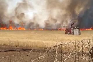 Fire in wheat crop standing, loss of lakhs to farmer