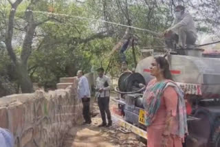 Spraying of pesticides medicines to combat diseases in Mehrauli of Delhi