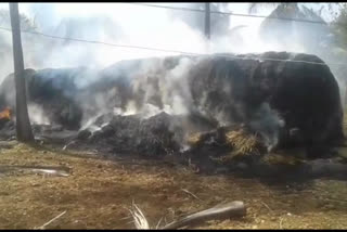 Fire for fodder in Hassan