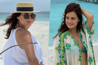 Dia Mirza shares stunning pic