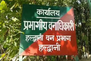 forest-department