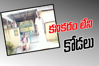 ap crime news, kodalu, wife and husband conflits