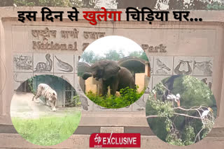 Delhi Zoo will be open for tourists  tickets will be found online