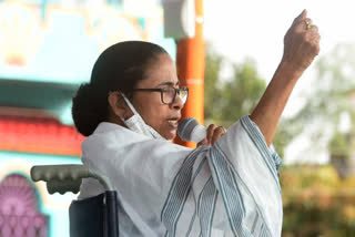 Mamata