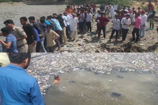 चूरू न्यूज  सादुलपुर न्यूज  गंदे पानी की डिग्गी  churu news  Sadulpur news  drowning of dirty water