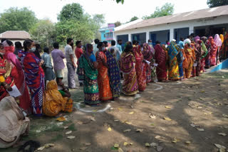 assam-records-72-dot-46-per-cent-voter-turnout-in-first-phase-of-assembly-polls