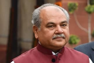 Union agriculture minister Narendra Singh Tomar, రైతు నిరసనలపై తోమర్