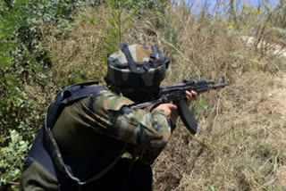 Militant killed by security forces in encounter in J-K's Shopian