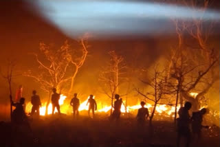 fire accident at sheshachalam forest