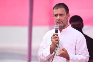 Rahul offers prayer