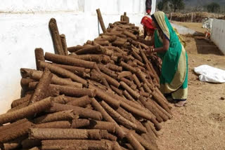 women prepared cow wood and wood