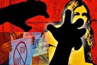 woman gang rape in Rajasthan