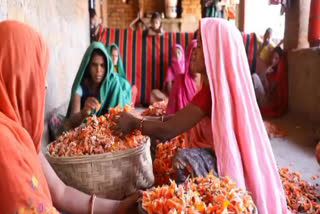 पलाश के फूलों से रंग, Color from palash flowers