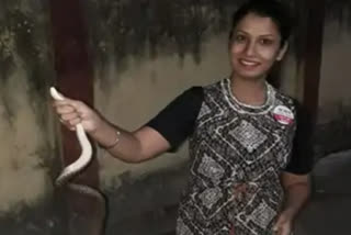 In Gorela Pendra Marwahi woman raksha caught snake who had entered the house