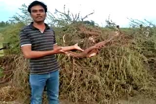 young-boy-video-about-maharashtra-karnataka-border-close