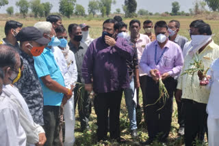 hailstrom affected areas in nandgaon  hailstrom in nandgaon nashik  MLA Suhas Kande inspected hailstrom affected area  महाराष्ट्रात अवकाळी पाऊस