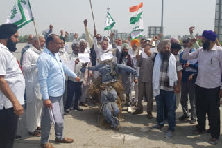 yamunanagar farmers burnt effigy of PM Modi