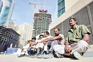 plight of Indian migrant workers in the Gulf countries