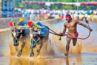 Srinivas Gowda sets new record in Kambala racing