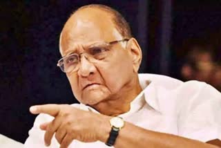 NCP chief Sharad Pawar latest news