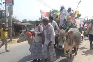 bengal election 2021 Trinamool candidate of Karandighi gautam pal campaigning in bullock carts in protest of increase in prices of Fuel