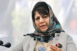 Mehbooba's passport application rejected due to 'adverse' police verification report