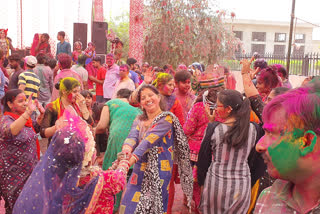 राजस्थान की ताजा हिंदी खबरें, Holi festival of colors